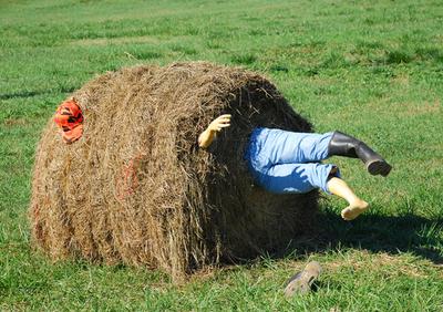 Дачные риски: чем может обернуться для россиян отдых за городом