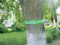 Нужные ленточки